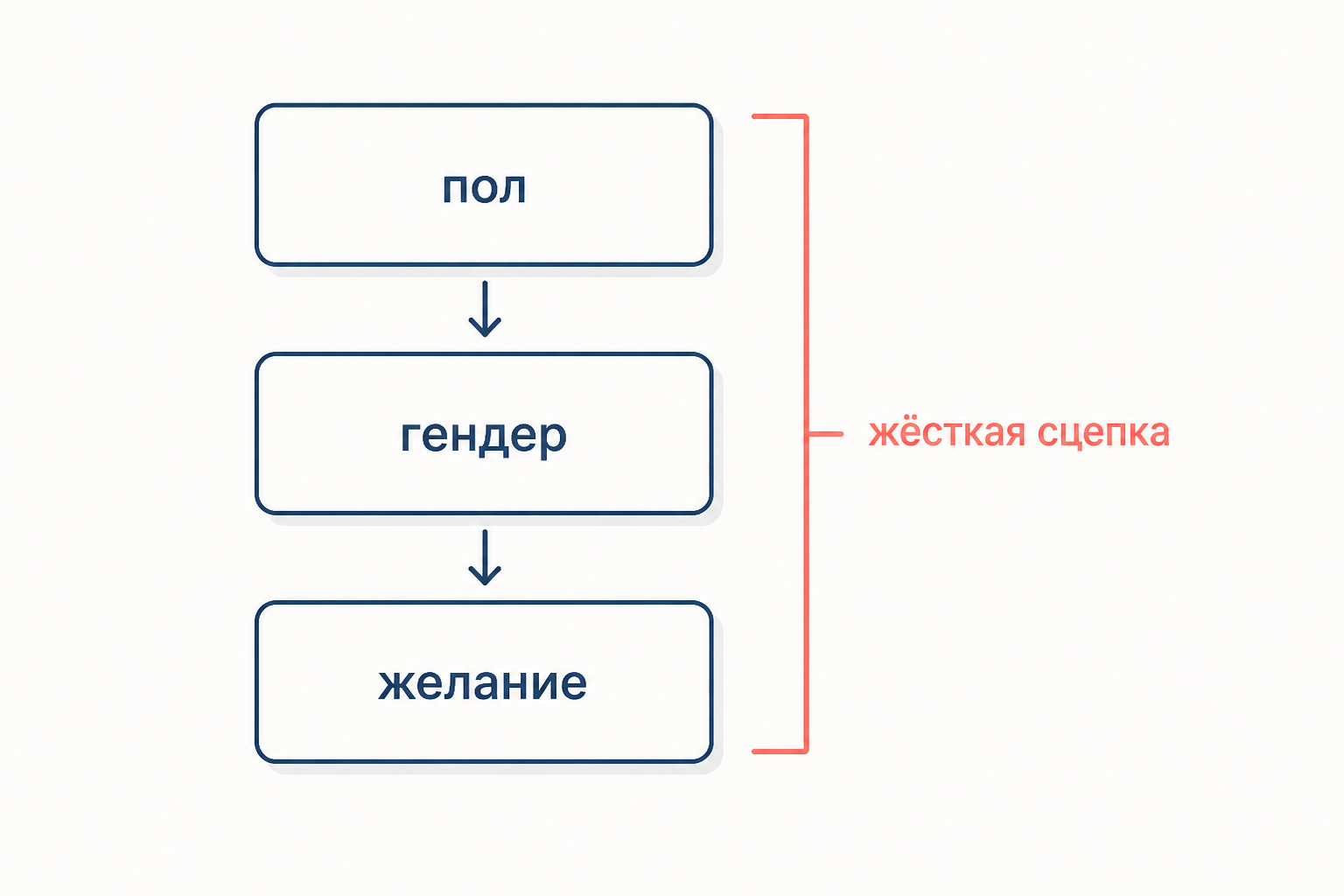 Гетеросексуальная матрица: пол, гендер и желание сцеплены в одну обязательную цепочку