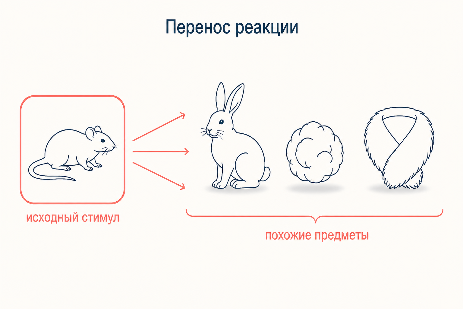 Перенос выученной реакции с белой крысы на кролика, комок ваты и меховой воротник по общему признаку