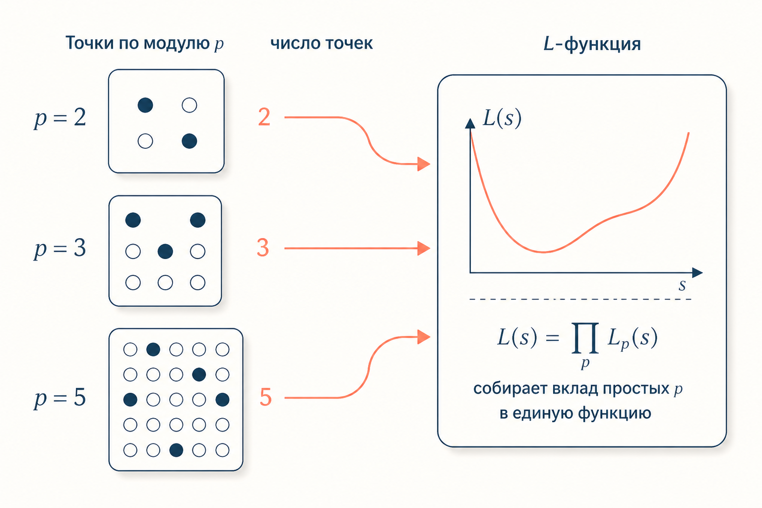 Локальный подсчёт точек: для каждого простого p вычисляется число точек по модулю p и величина a, эти данные собираются в L-функцию