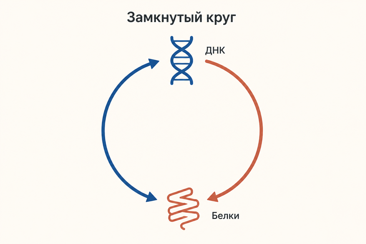 Замкнутый круг: ДНК кодирует белки, а белки нужны, чтобы копировать и читать ДНК