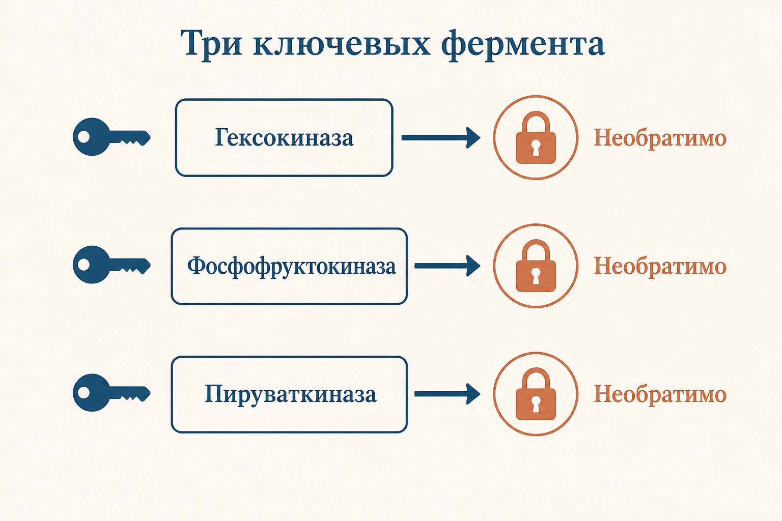 Три ключевых фермента гликолиза: гексокиназа, фосфофруктокиназа-1 и пируваткиназа, каждый катализирует необратимую регуляторную реакцию