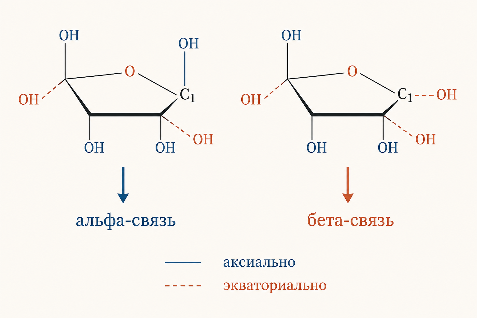 Строение гликозидной связи между двумя гексозами
