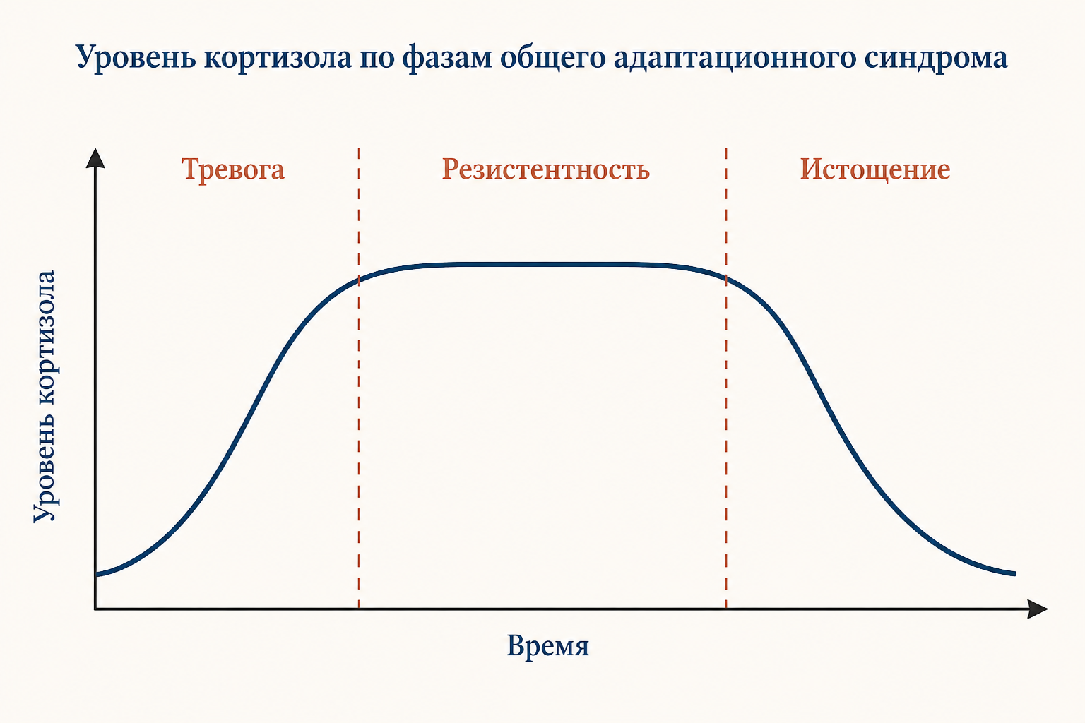 Три стадии общего адаптационного синдрома Селье: тревога, резистентность, истощение