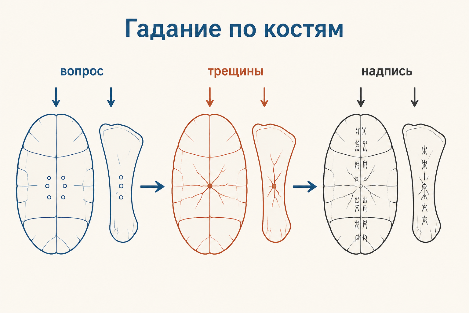 Фрагмент костяной пластинки с условной схемой вопроса, трещин и надписи цзягувэнь