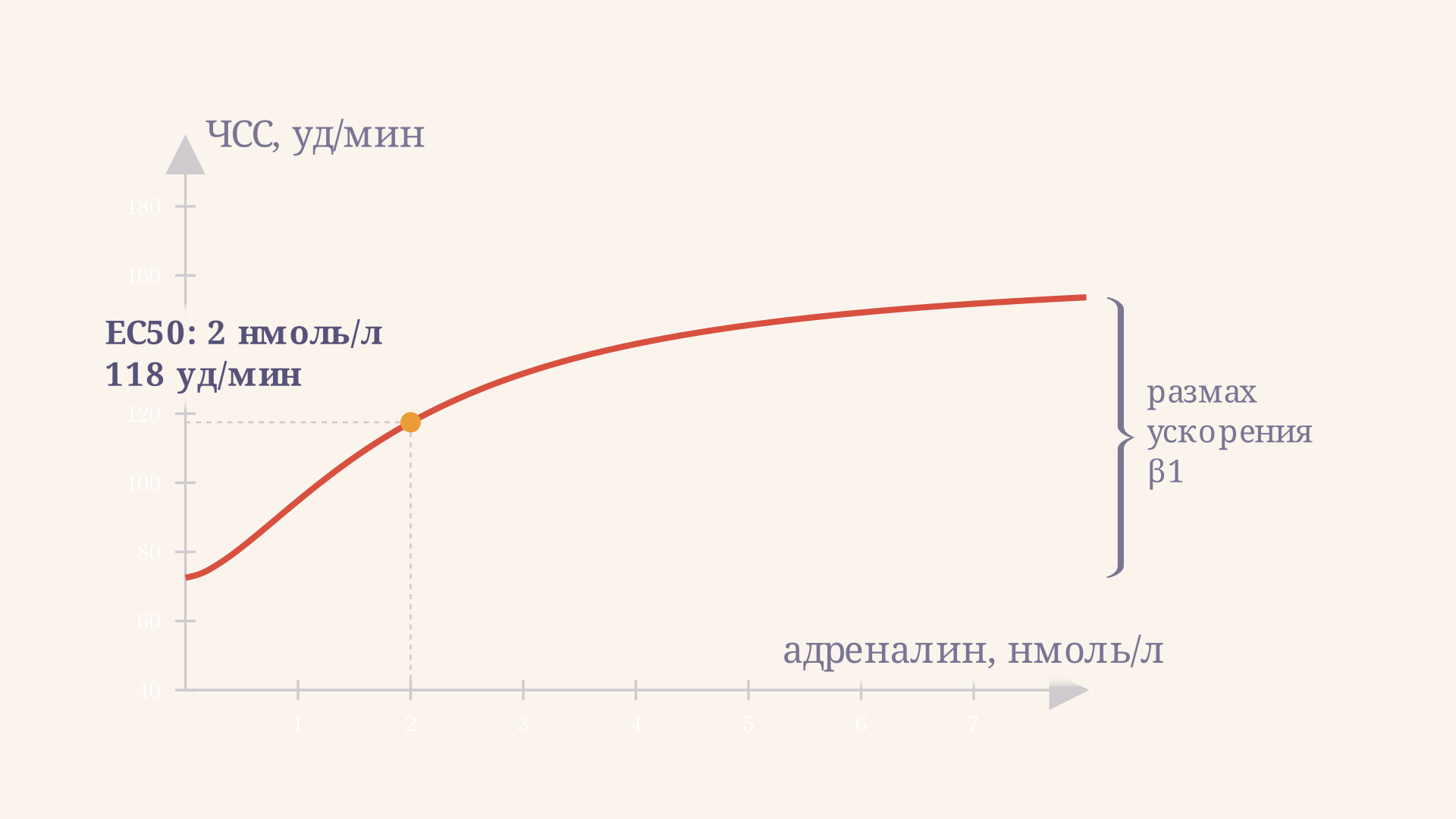 Дозовая кривая зависимости частоты сердечных сокращений от концентрации адреналина: крутой подъём при малых дозах и выход на плато при насыщении бета1-рецепторов