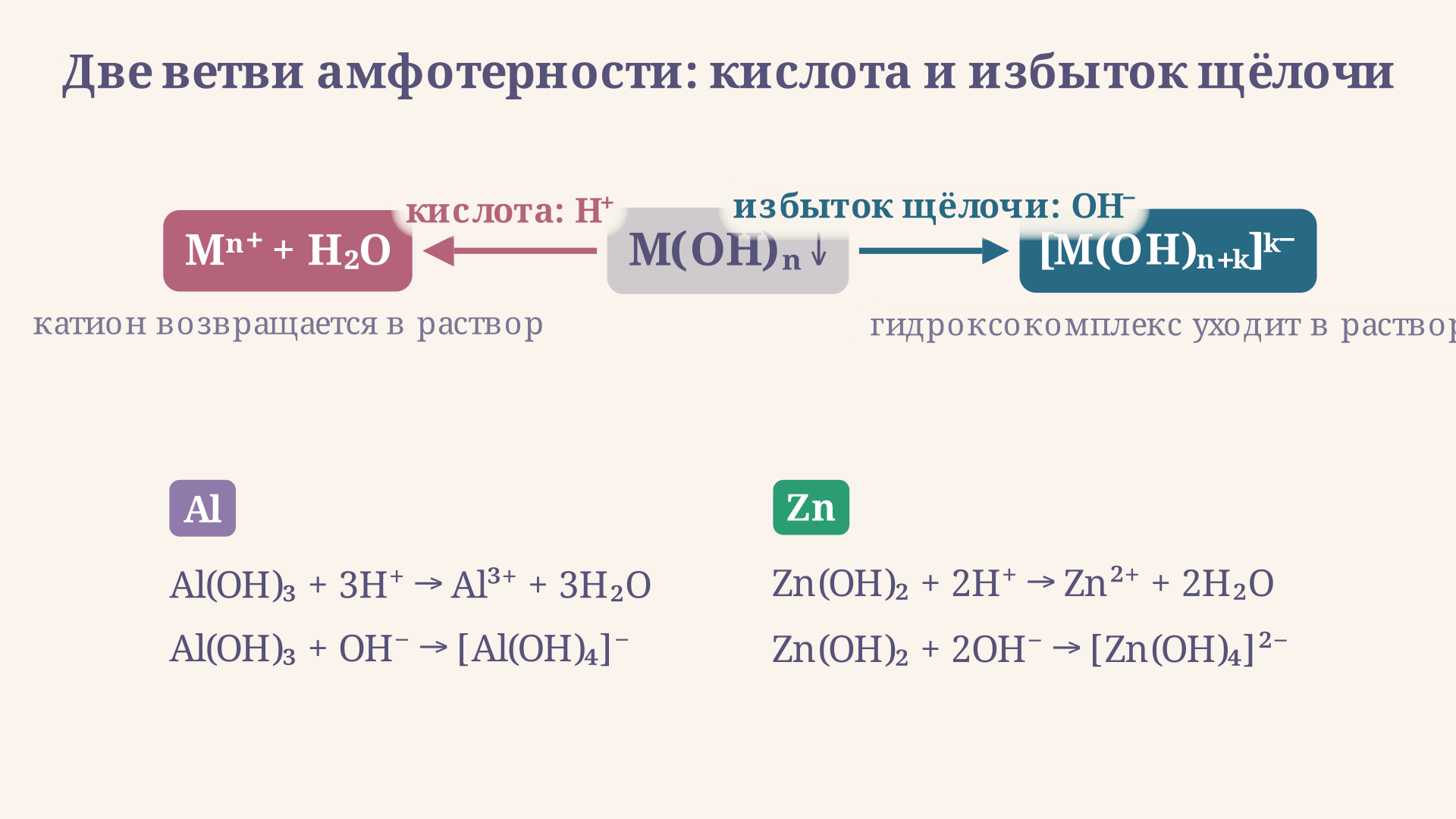 Две ветви реакций: кислота растворяет осадок до соли, избыток щёлочи растворяет тот же осадок до гидроксокомплекса
