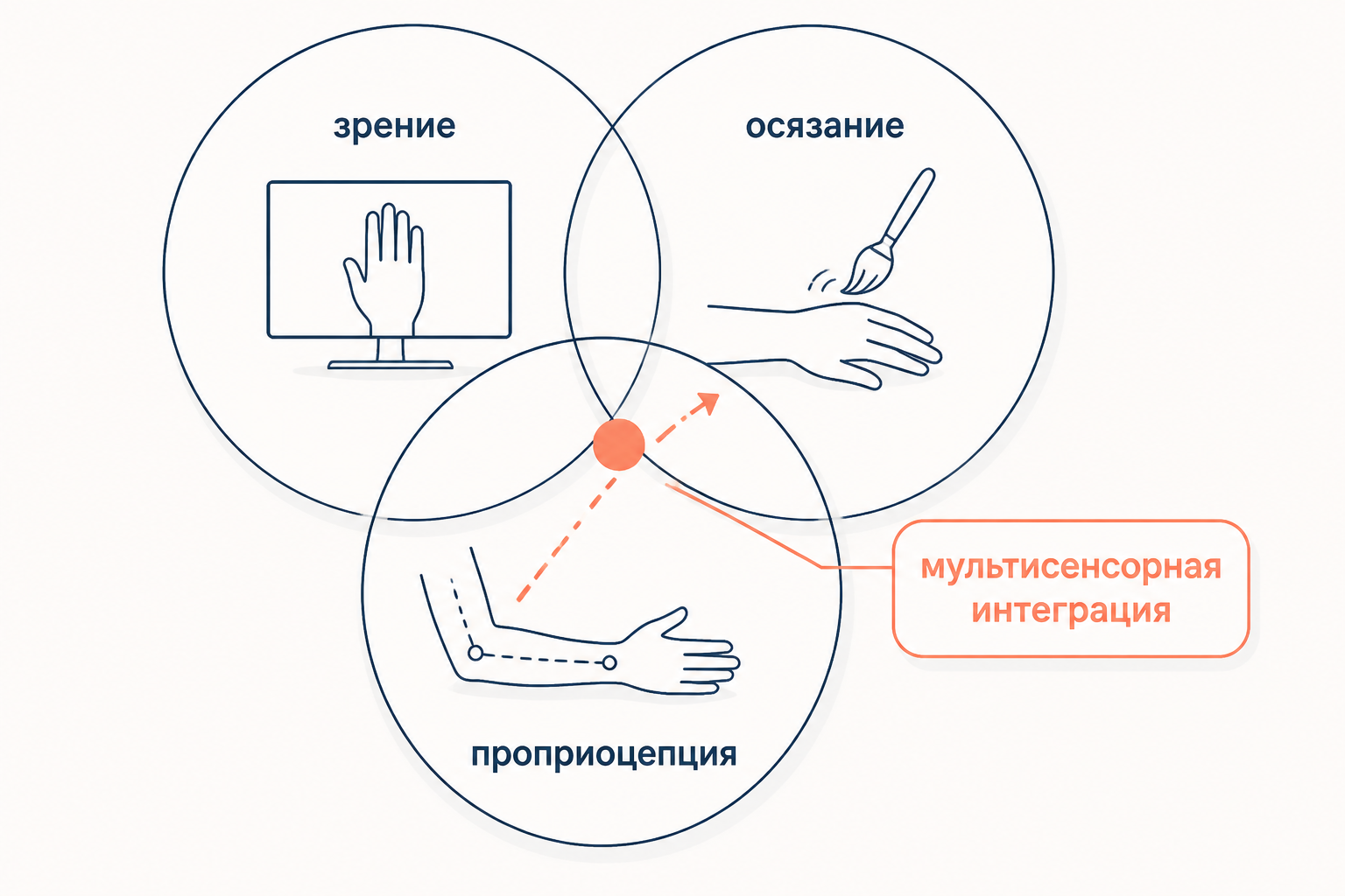 Три сенсорных канала пересекаются: их совместная обработка определяет, где мозг ощущает руку