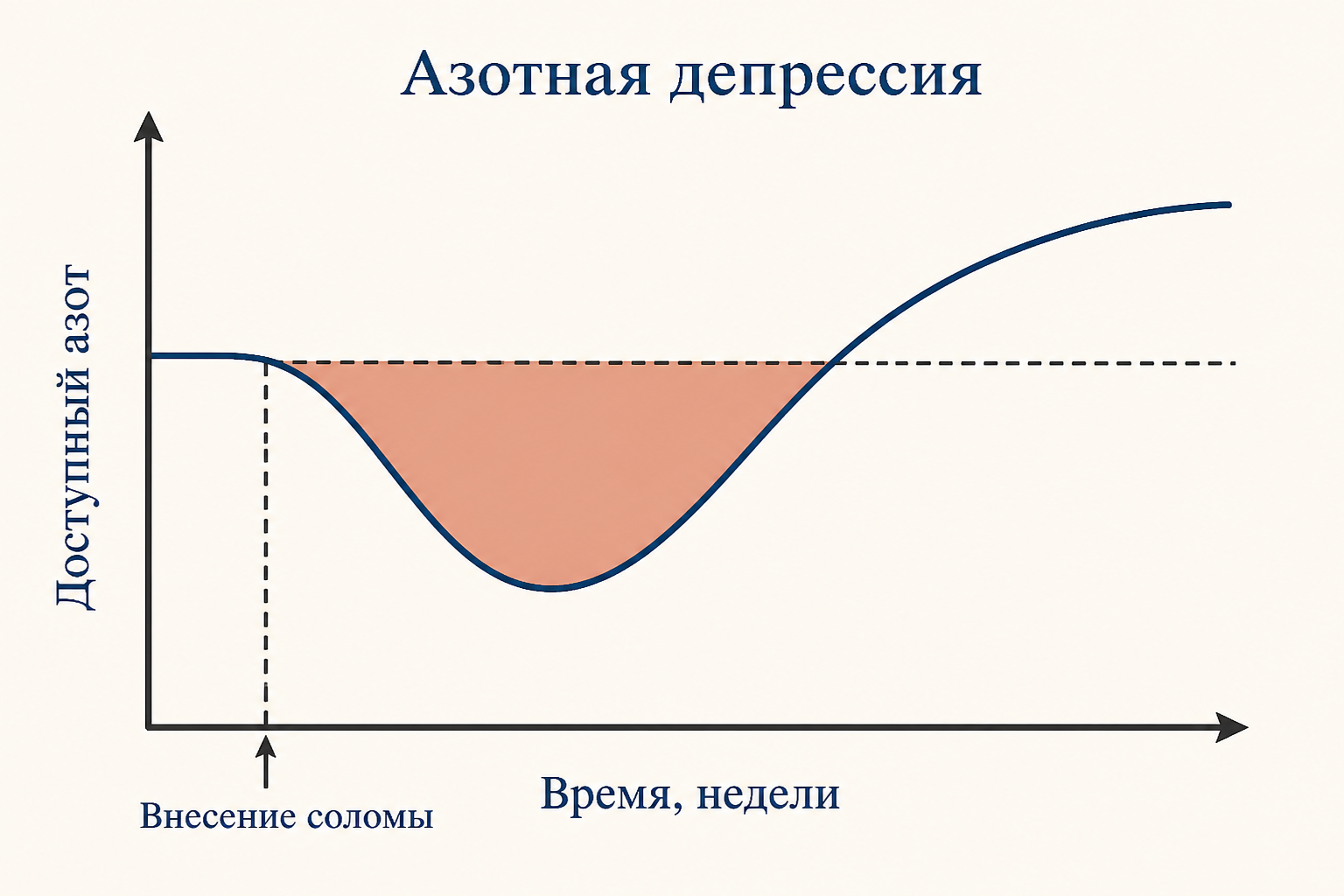 Кривая доступного азота во времени: после внесения соломы азот снижается до минимума, затем восстанавливается выше исходного уровня