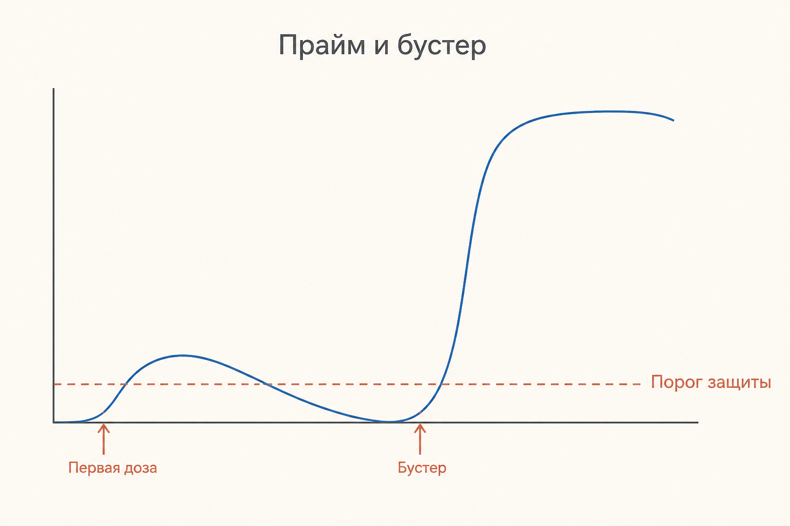 Схема прайм бустерной вакцинации: вторая доза поднимает титр выше порога защиты