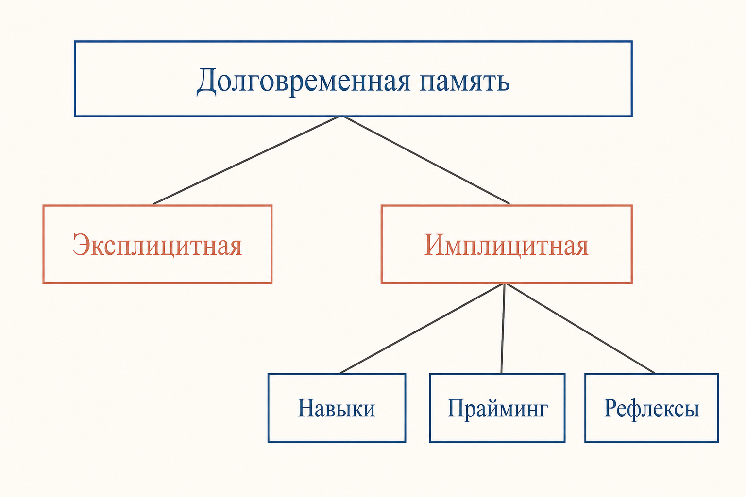 Схема: долговременная память делится на эксплицитную и имплицитную, а имплицитная - на навыки, прайминг и рефлексы