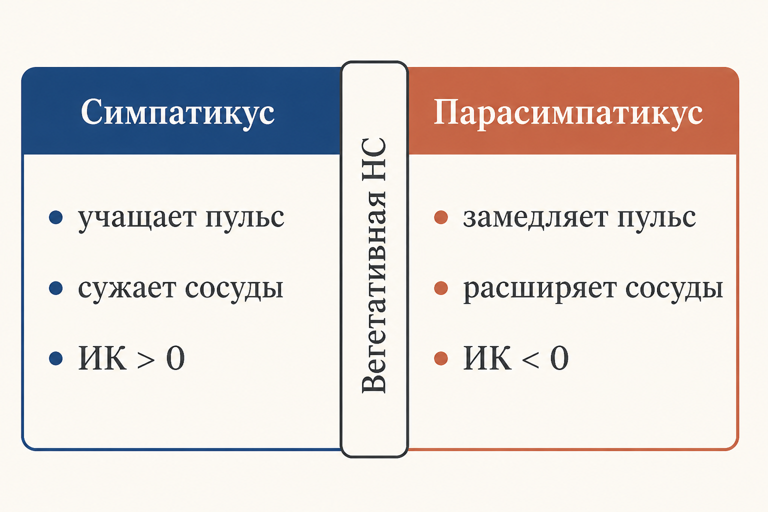 Схема вегетативного баланса: симпатический и парасимпатический отделы