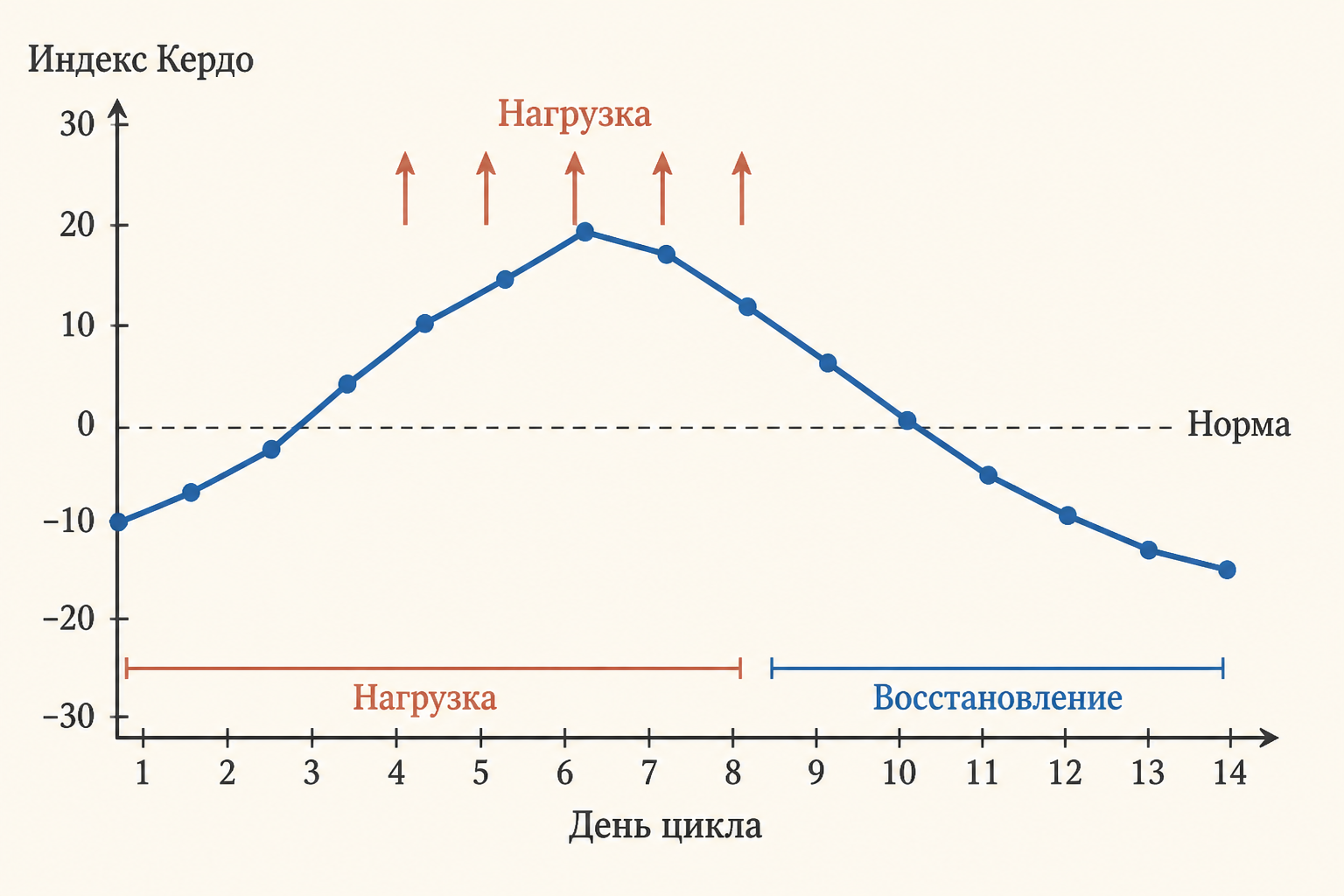 Динамика индекса Кердо у спортсмена в тренировочном цикле