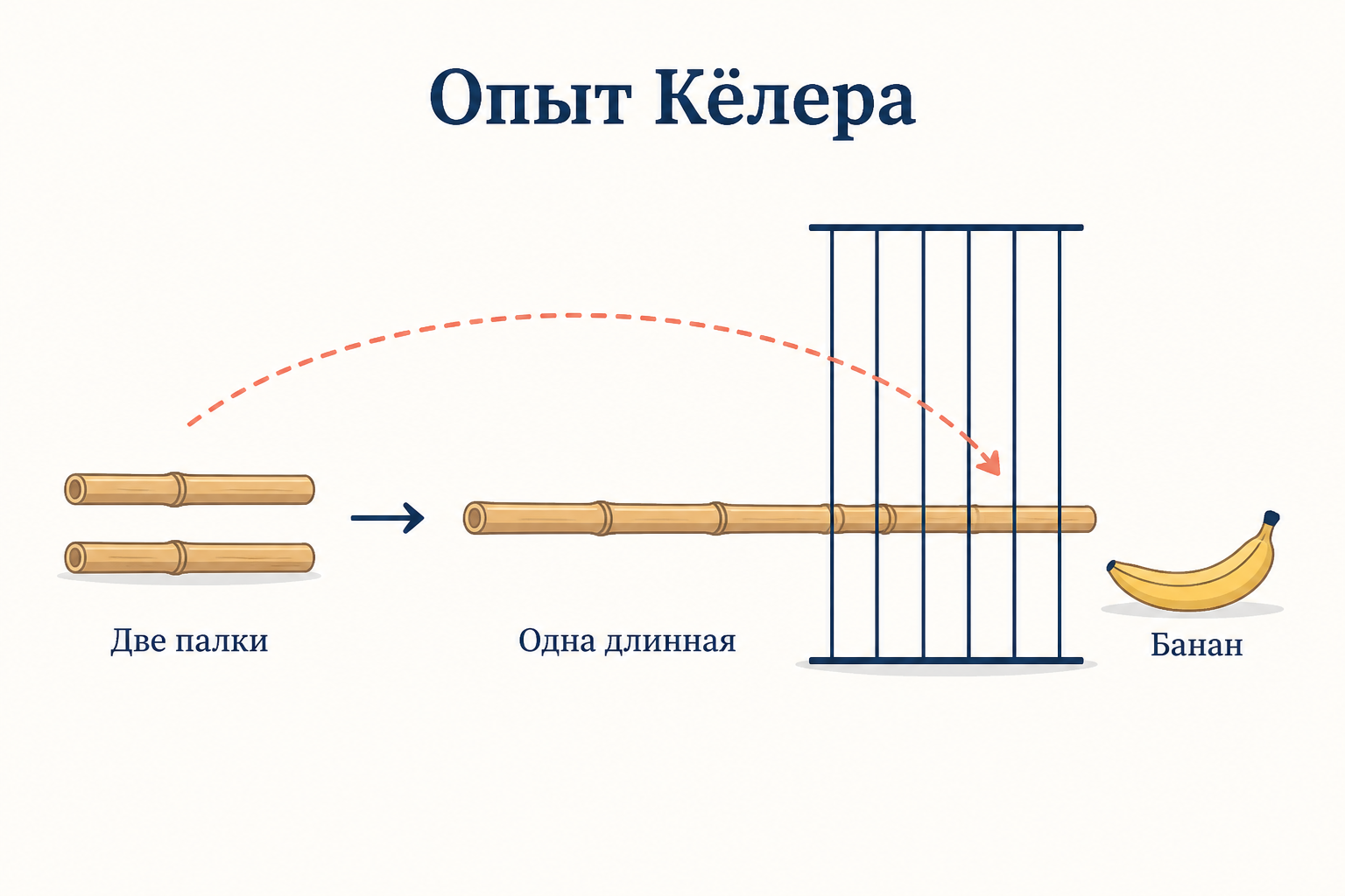 Опыт Кёлера: две короткие палки соединяются в одну длинную, которой можно достать банан за решёткой