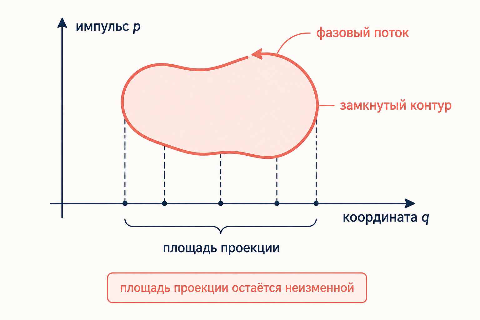 Замкнутый контур в фазовой плоскости и его проекция площади, сохраняющаяся вдоль фазового потока