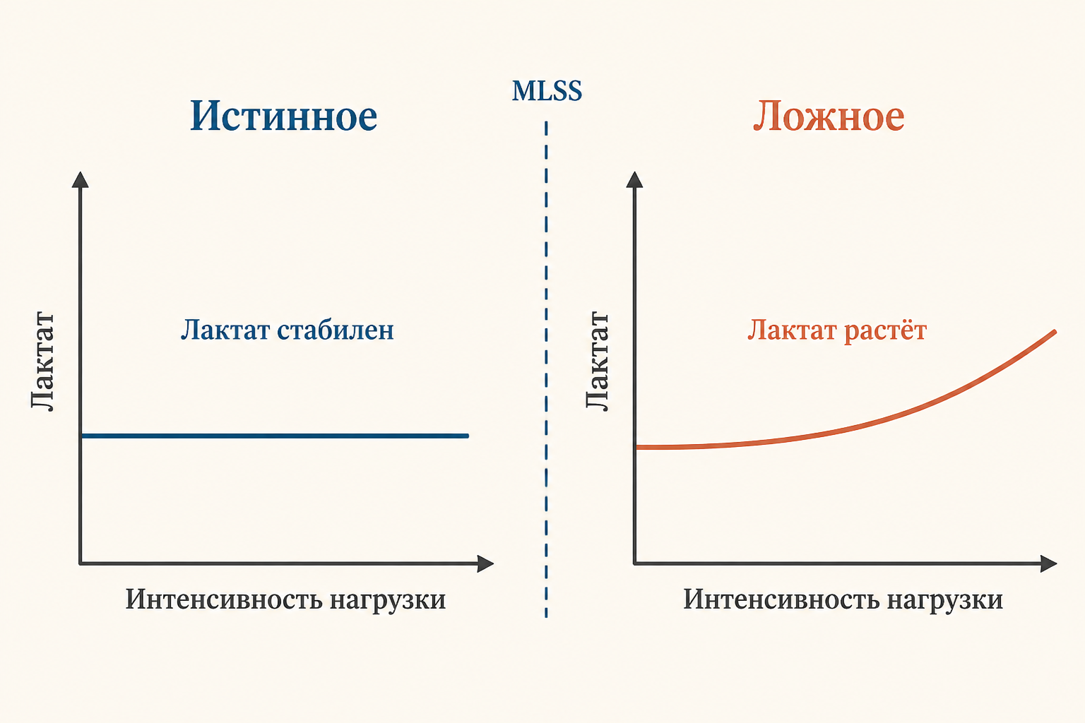 Сравнение истинного и ложного устойчивого состояния