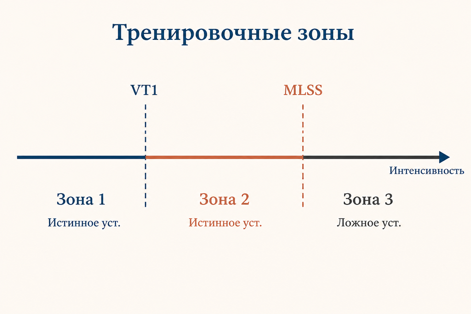 Тренировочные зоны и лактатные пороги