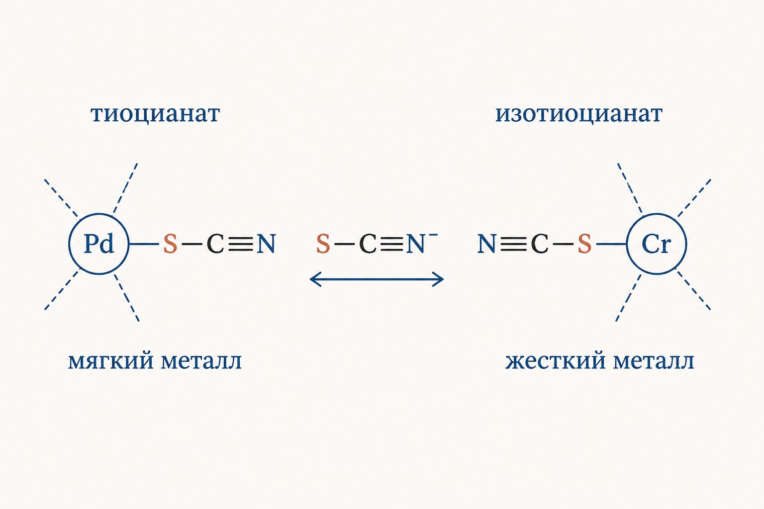 Амбидентатный лиганд SCN: координация через S (тиоцианат) и через N (изотиоцианат) у разных металлов