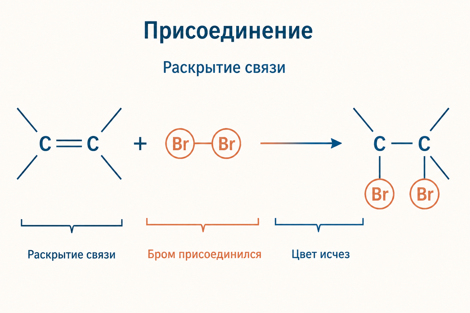 Схема присоединения брома по двойной связи: пи-связь раскрывается, два атома брома встают на соседние атомы углерода, цвет исчезает