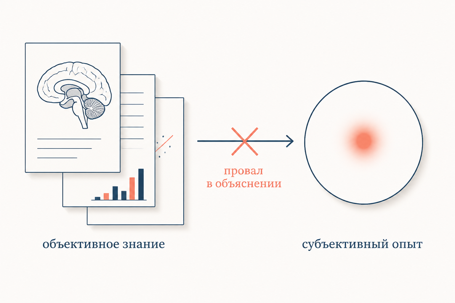 Образ темы: летучая мышь с эхолокацией и человек с вопросительным знаком, между ними разрыв с подписью непереводимо