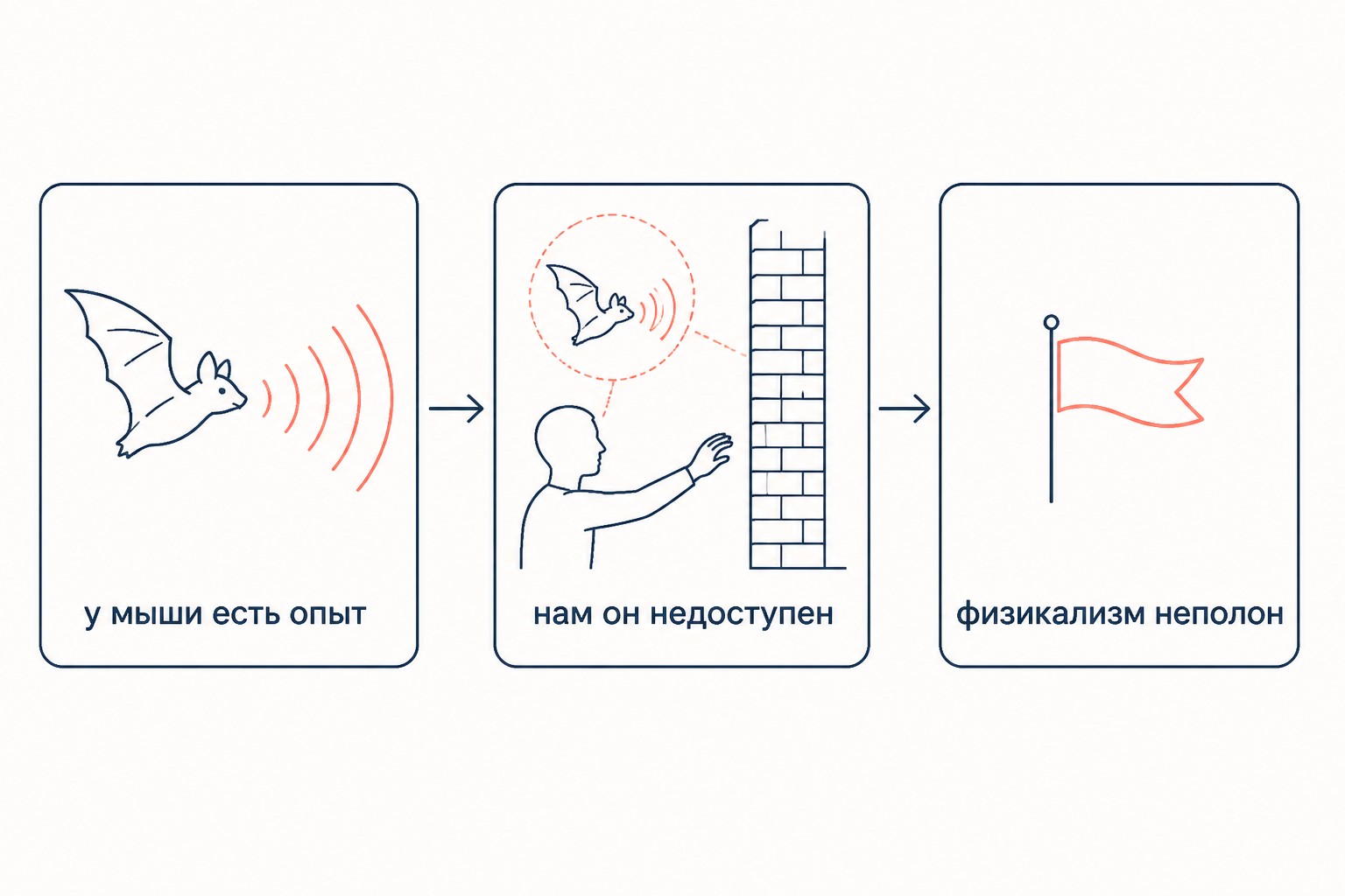 Цепочка аргумента: у мыши есть опыт, нам он недоступен, физикализм неполон