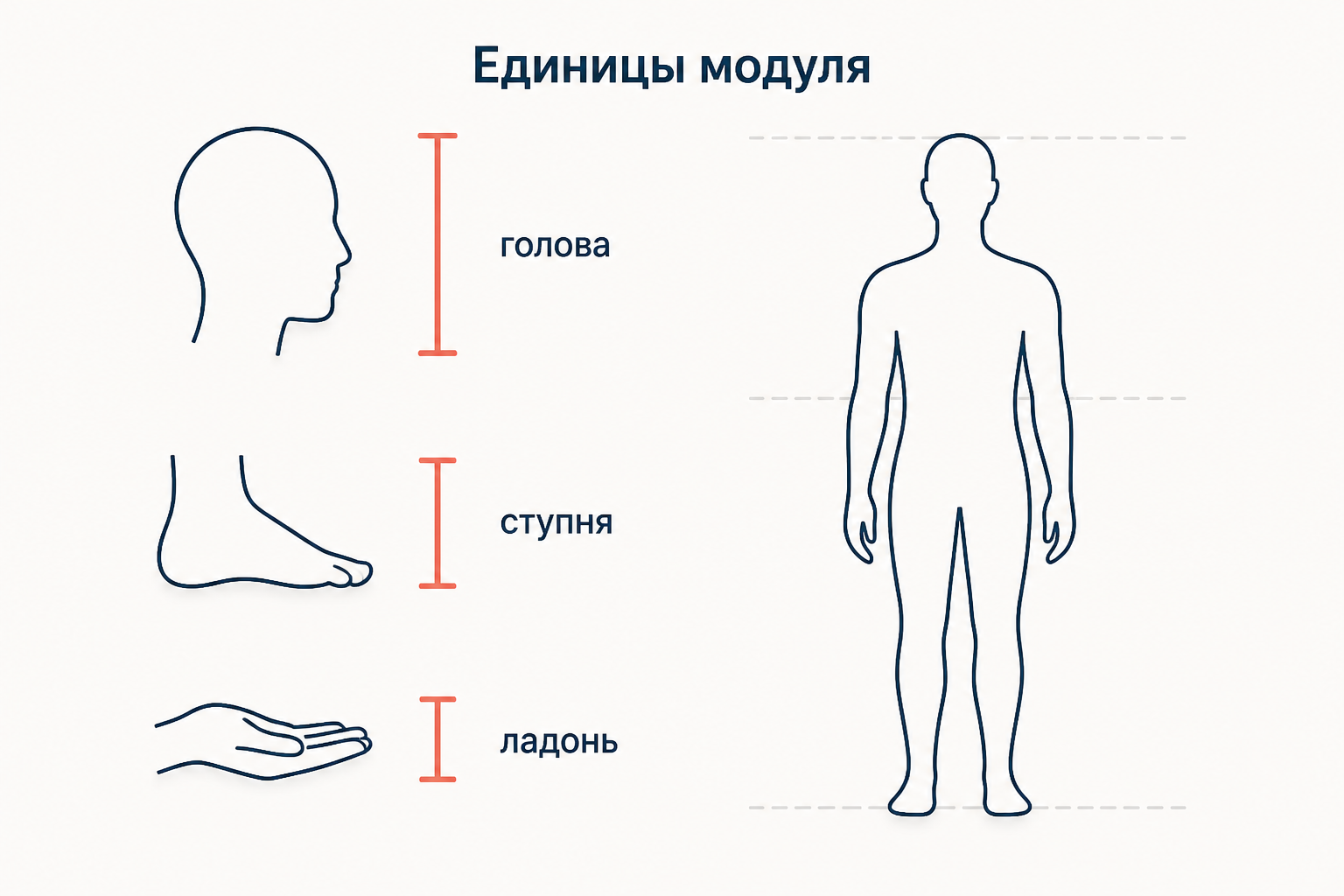 Три единицы модуля в каноне пропорций: голова, ступня и ладонь показаны как мерные отрезки рядом со схематичной фигурой