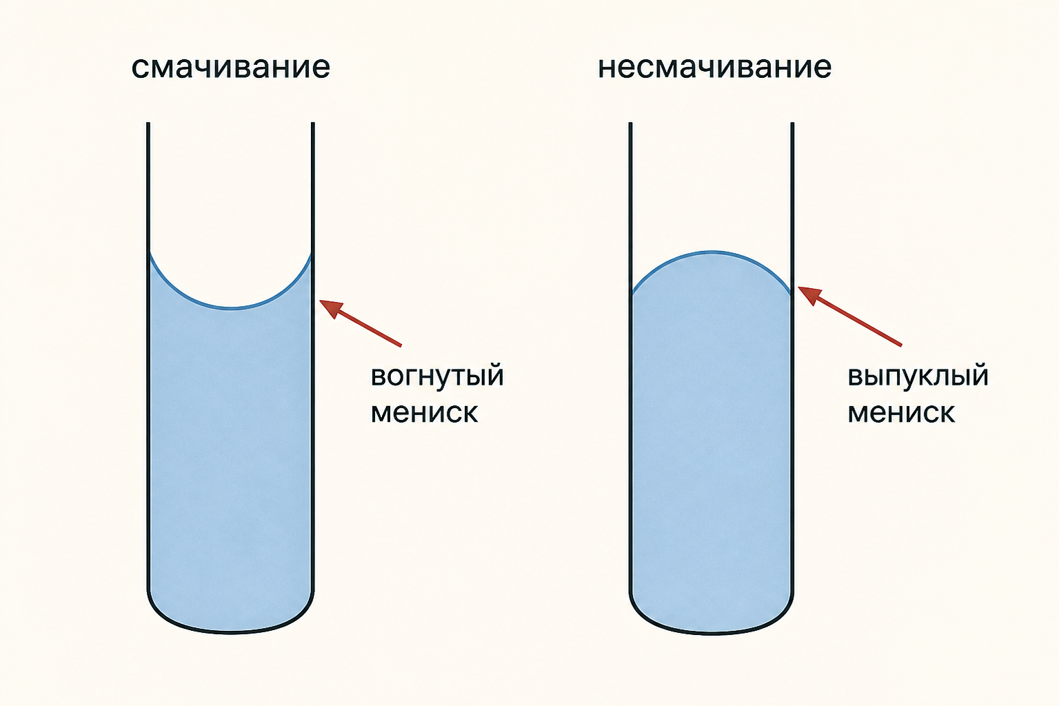 Вогнутый мениск смачивающей жидкости и выпуклый мениск несмачивающей в двух стеклянных трубках