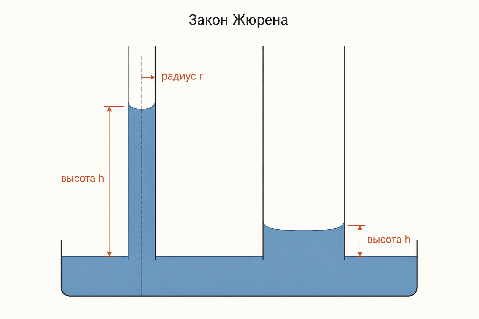 Две трубки разного радиуса: чем уже канал, тем выше поднимается столб жидкости
