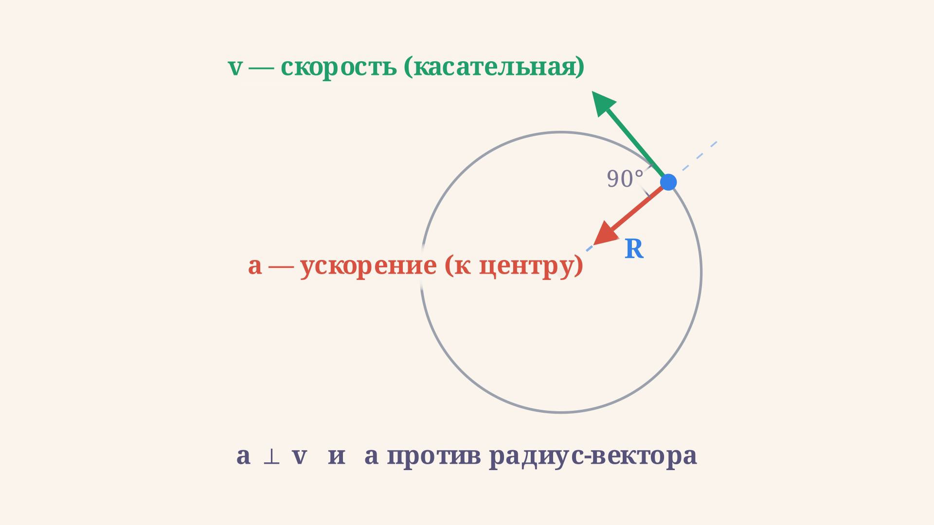 Точка на окружности: радиус-вектор к центру, скорость по касательной и центростремительное ускорение, направленное внутрь, перпендикулярно скорости