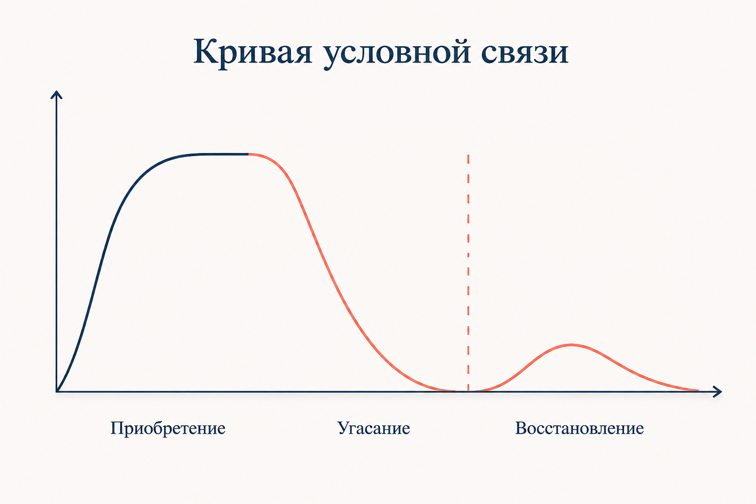 Кривая условного рефлекса: быстрый подъём на приобретении, спад при угасании и частичный возврат после паузы