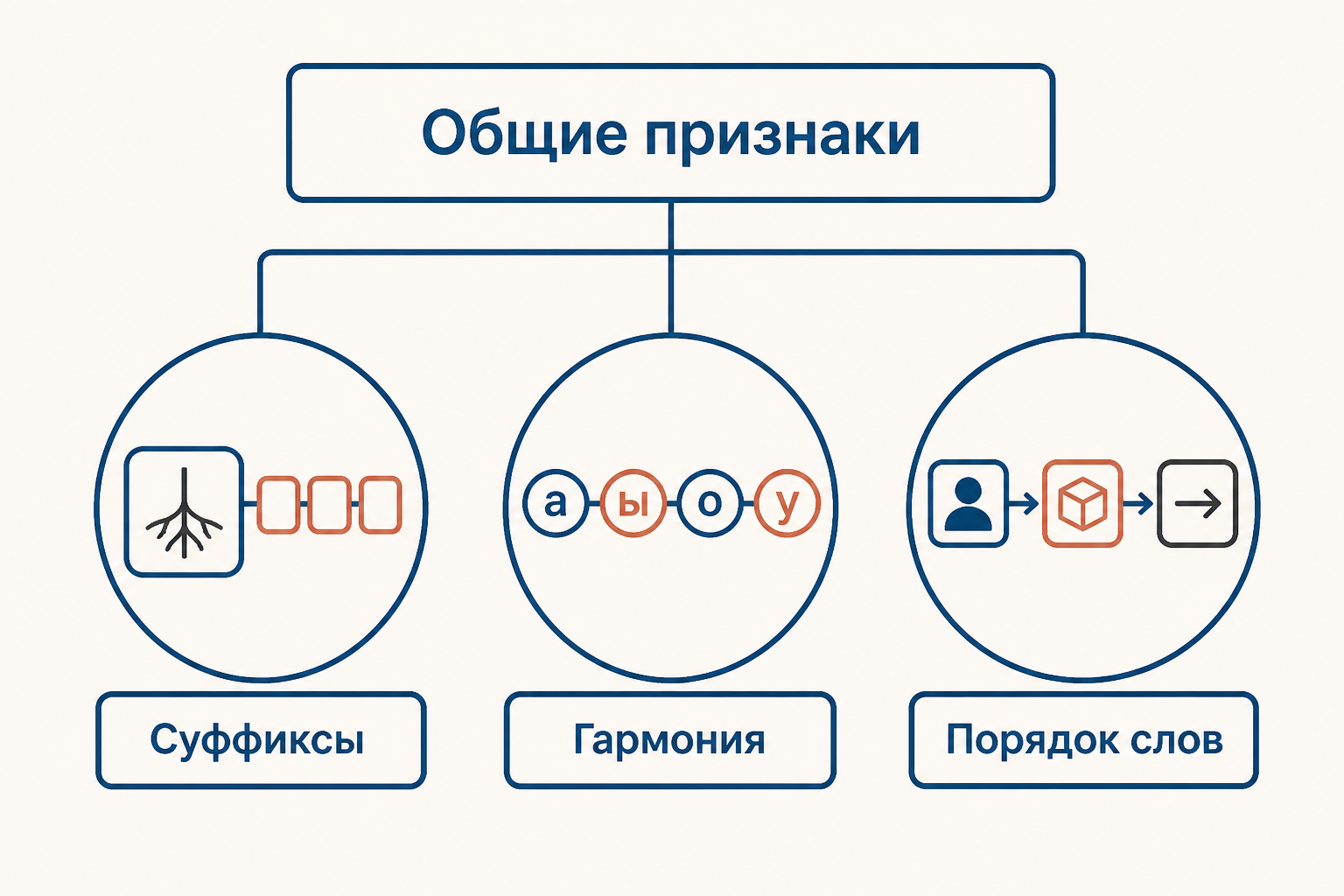 Общие признаки тюркских языков: суффиксы, гармония гласных и порядок слов
