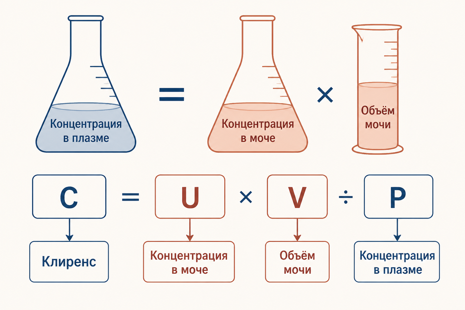 Принцип клиренса как баланс: концентрация в моче, умноженная на объём мочи и делённая на концентрацию в плазме, даёт клиренс в мл/мин