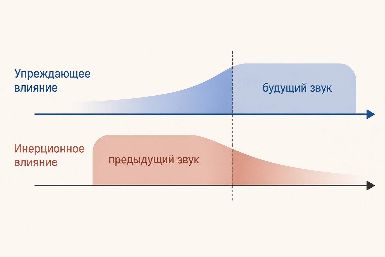 Схема наложения двух артикуляционных жестов во времени: упреждающее влияние будущего звука и инерционное влияние предыдущего