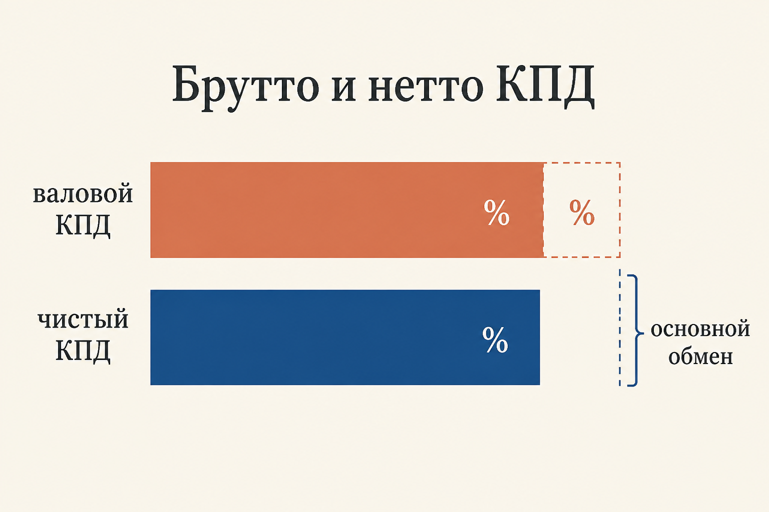 Сравнение валового и чистого КПД: из общих затрат вычитается энергия основного обмена, поэтому чистый показатель выше