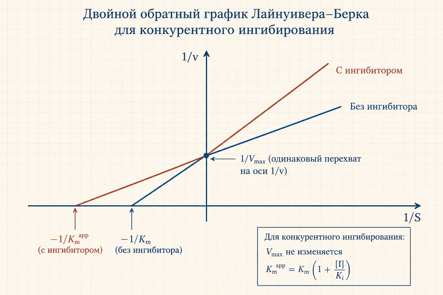 Двойной обратный график Лайнуивера-Берка при конкурентном ингибировании