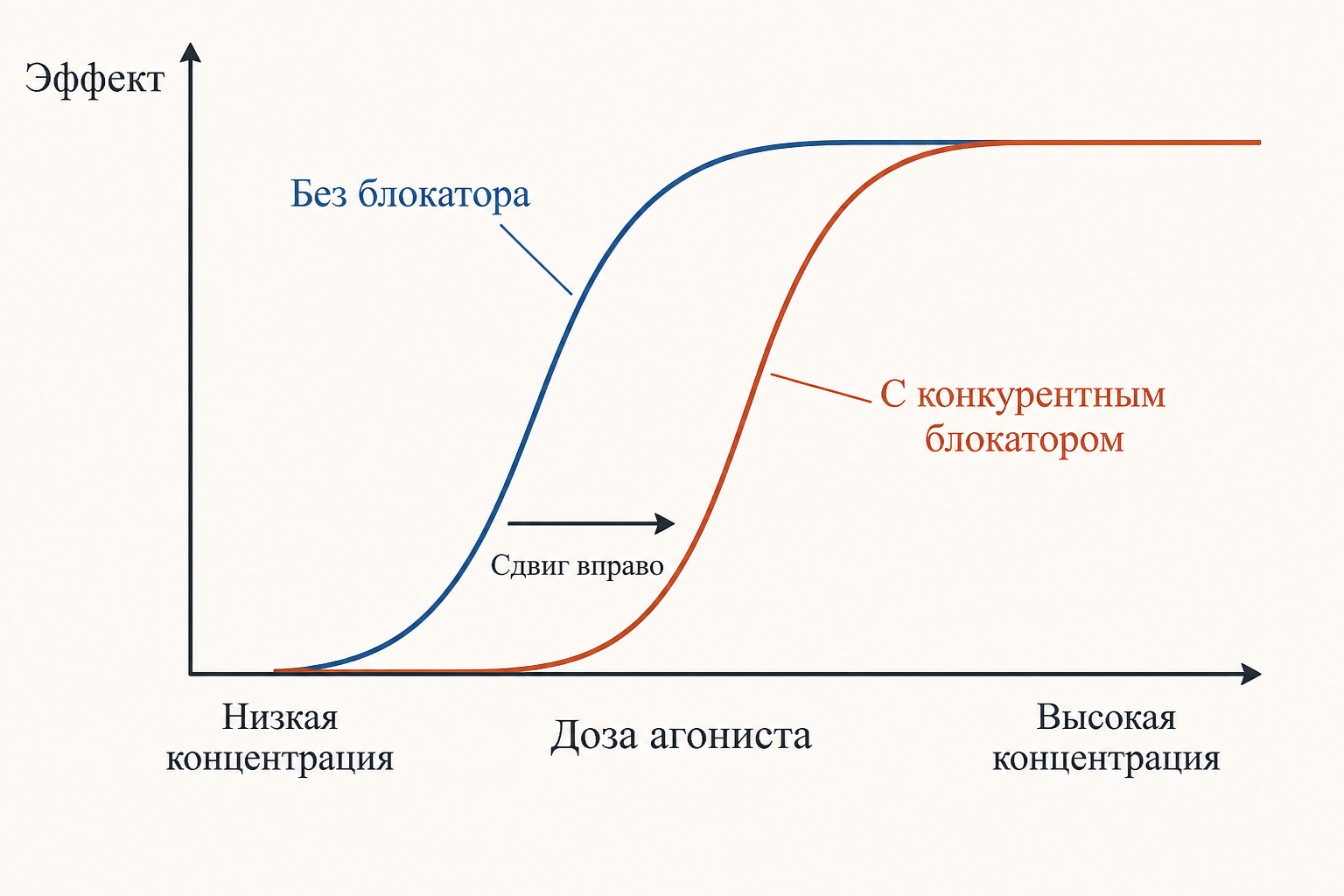 Схема антагонизма рецептора: при конкурентном антагонизме агонист и блокатор борются за один и тот же активный сайт, при неконкурентном блокатор садится на отдельный участок рецептора
