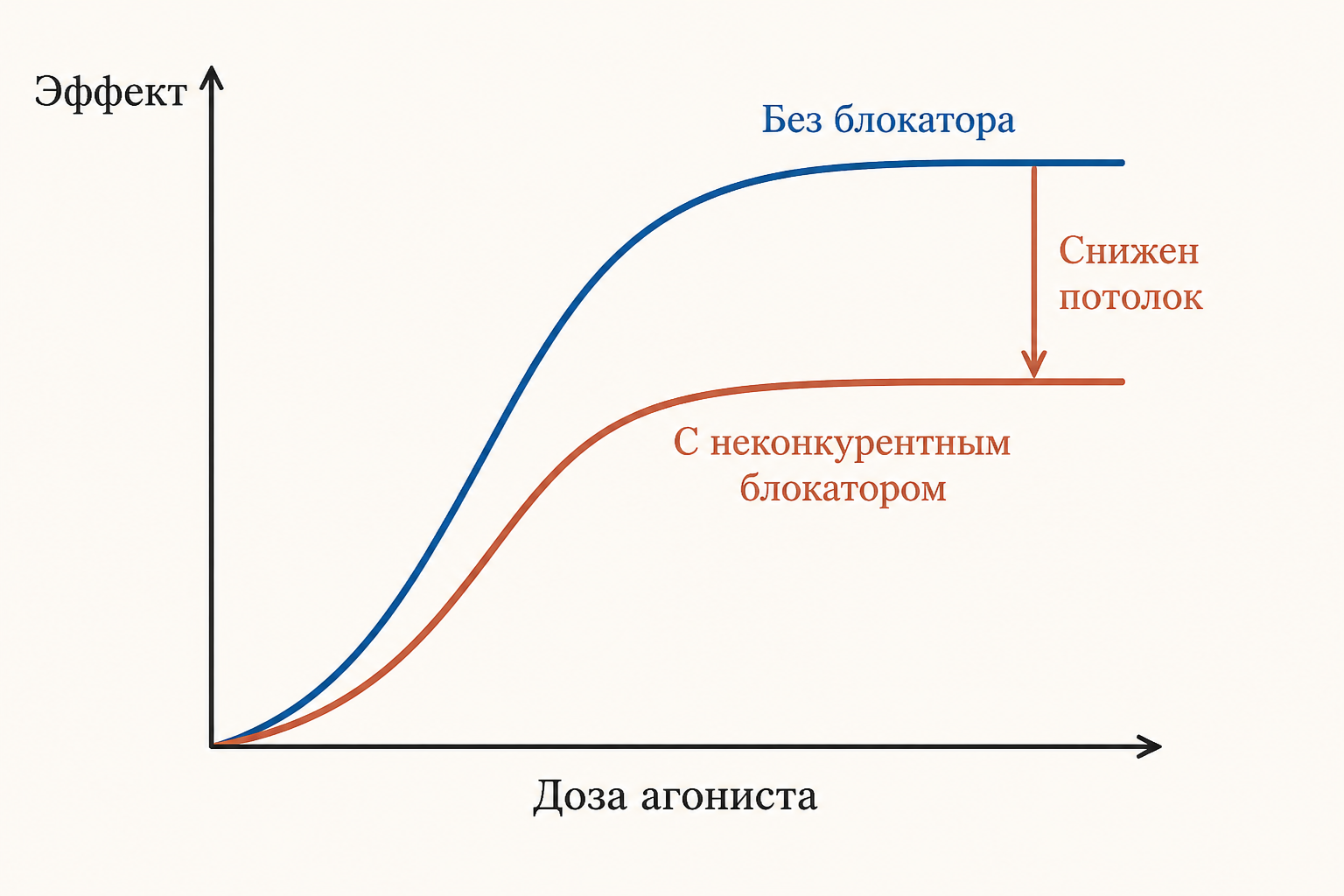 Дозовая кривая при конкурентном антагонизме: вторая кривая сдвинута вправо, но достигает того же максимального плато, что и кривая без блокатора