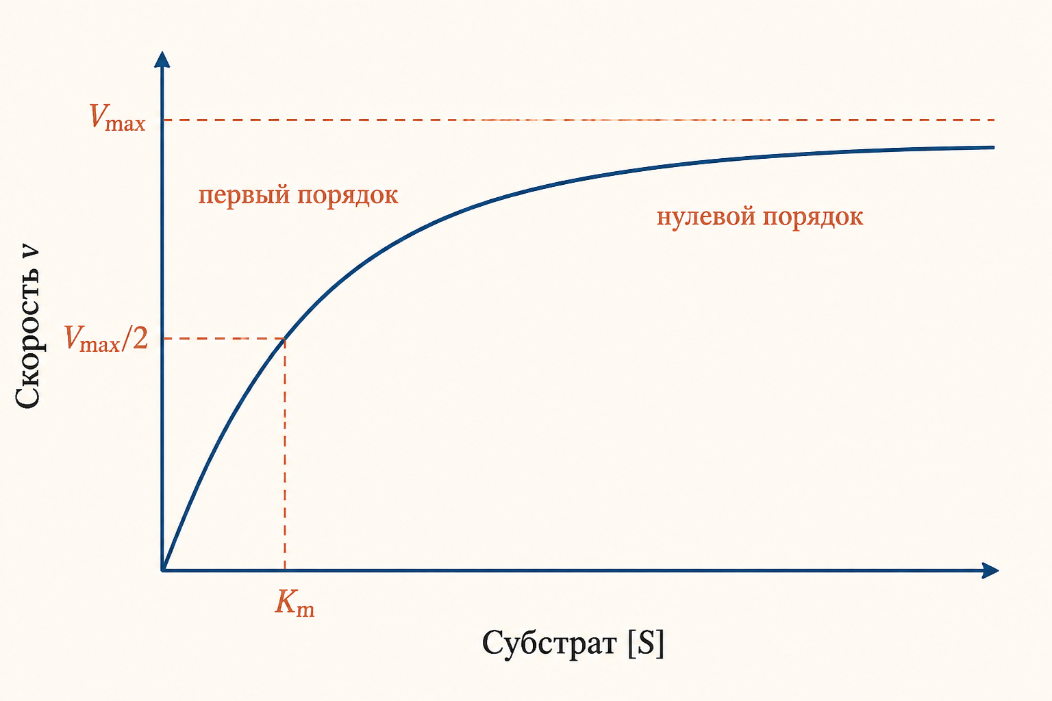 Гиперболическая кривая Михаэлиса-Ментен с отмеченным Km