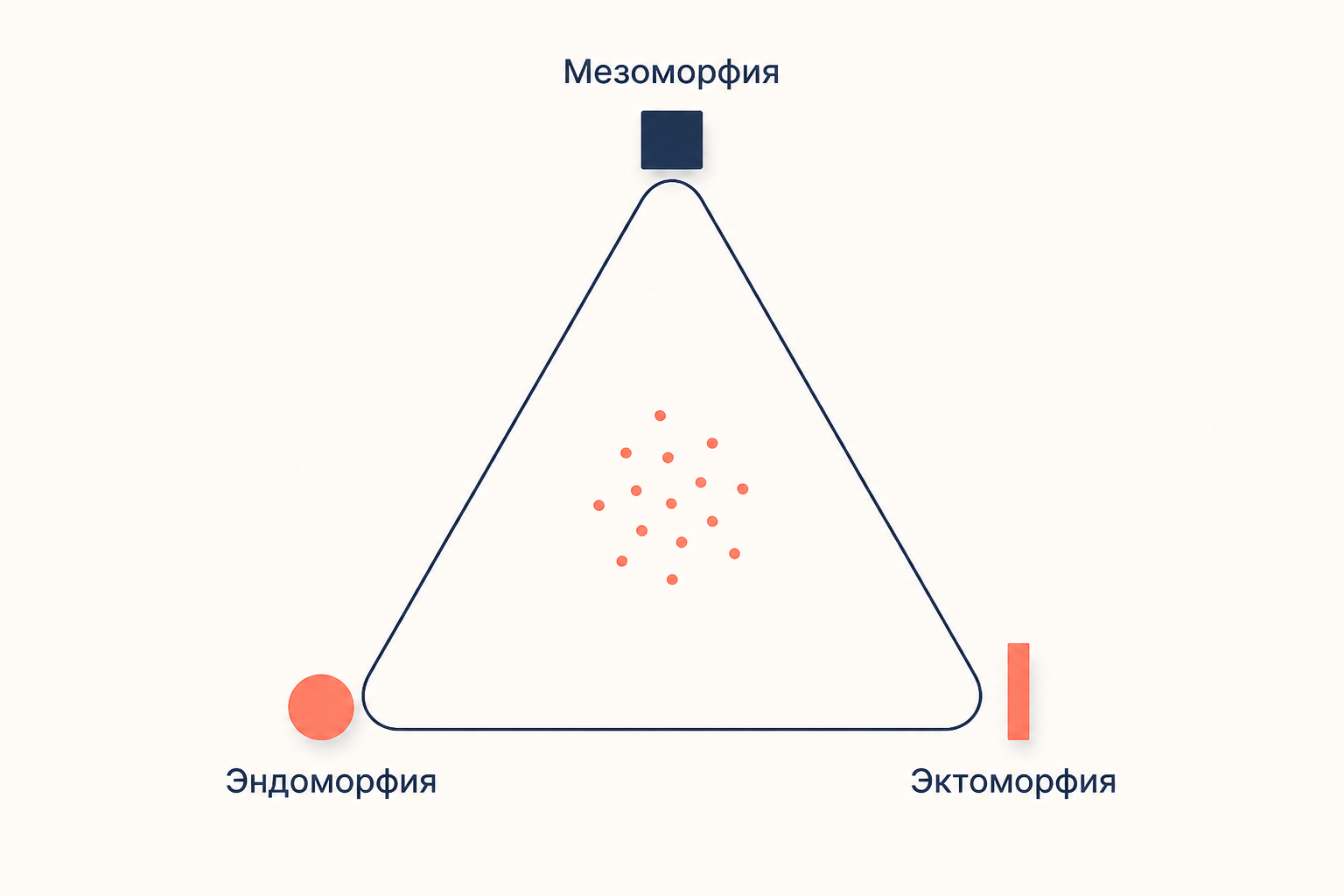 Треугольник соматотипов Шелдона: в вершинах эндоморфия, мезоморфия и эктоморфия, большинство людей в центре