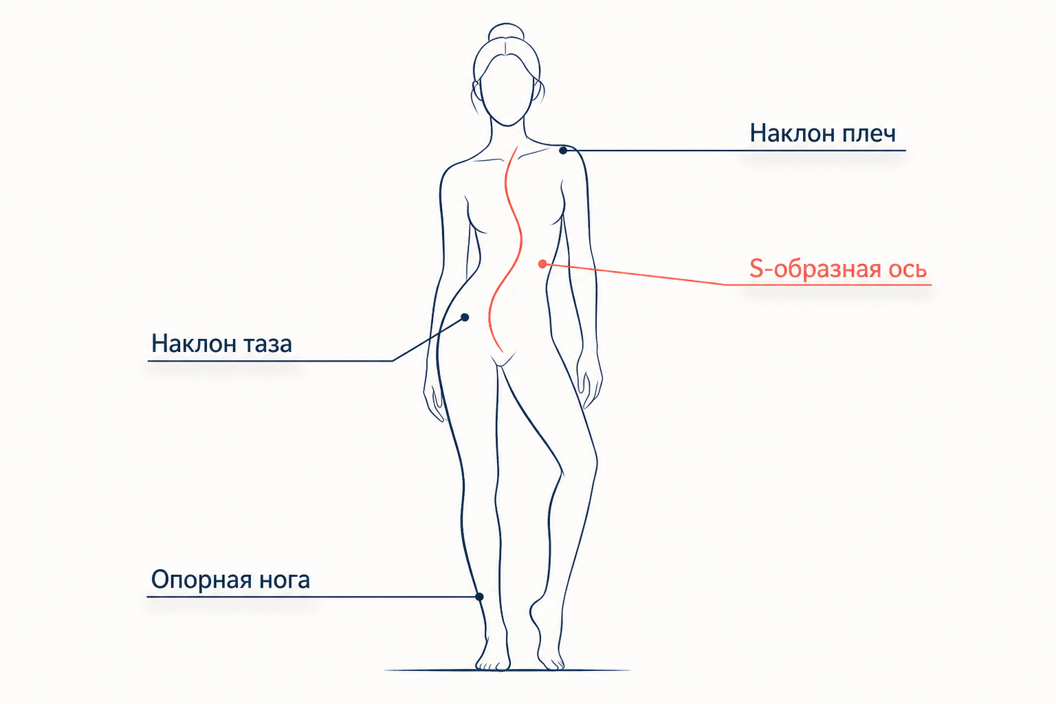 Анатомия позы: опорная нога, наклон таза вверх, противоположный наклон плеч и S-образная ось позвоночника