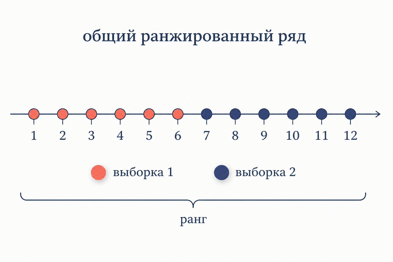 Объединённый ранжированный ряд двух выборок: ранги одной группы систематически выше, что отражает статистика U