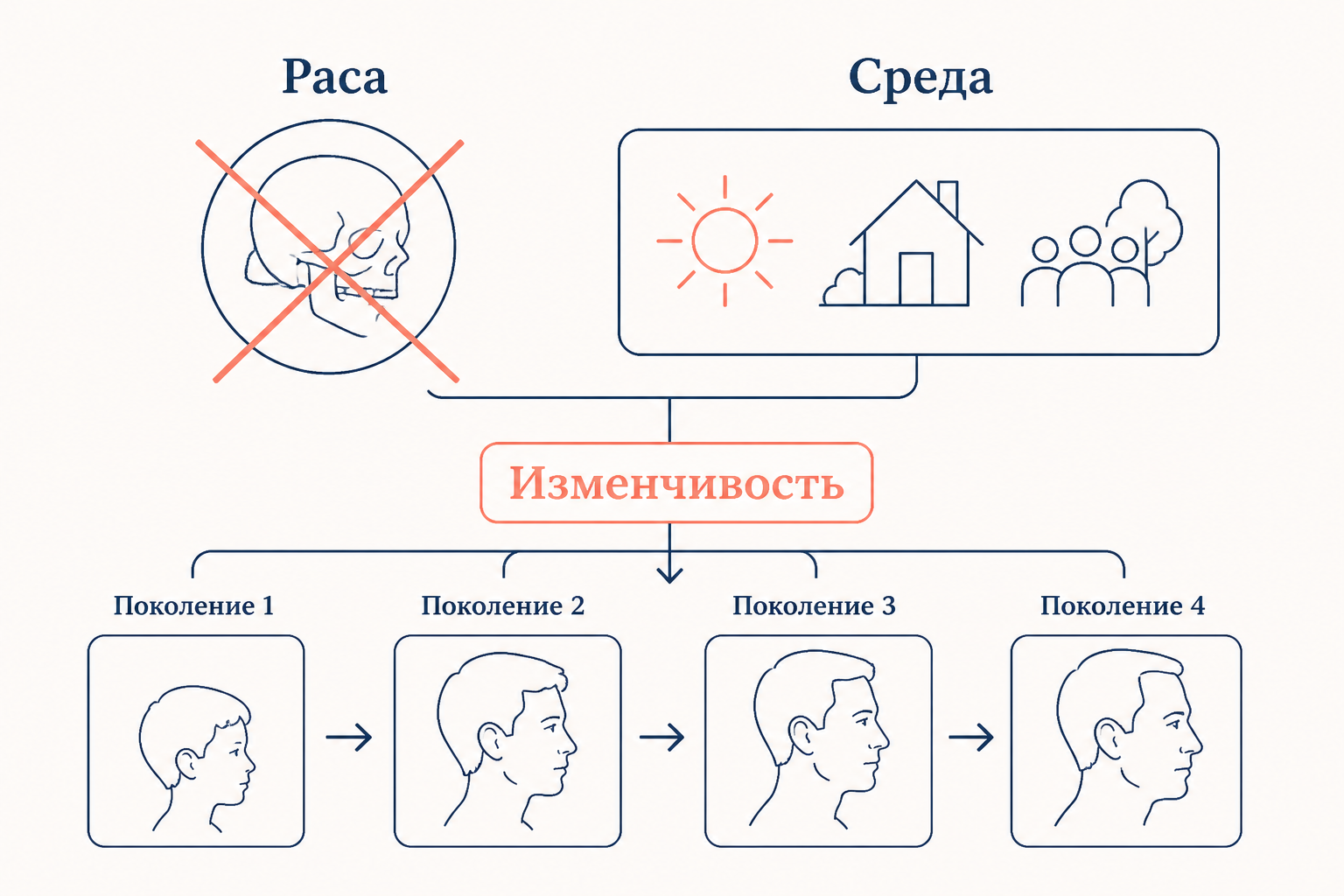 Боас опровергает расовый детерминизм: изменчивость признаков под влиянием среды