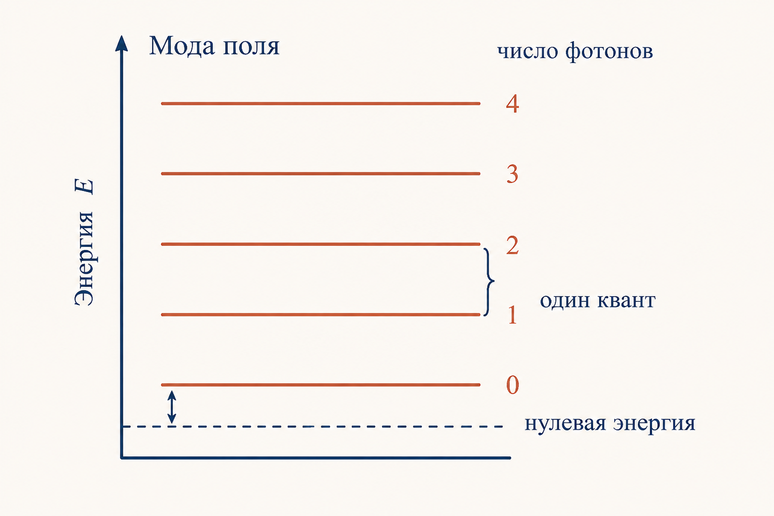 Энергетическая лесенка одной моды поля как квантового осциллятора: равноотстоящие уровни нумеруются числом фотонов, нижний уровень приподнят на нулевую энергию