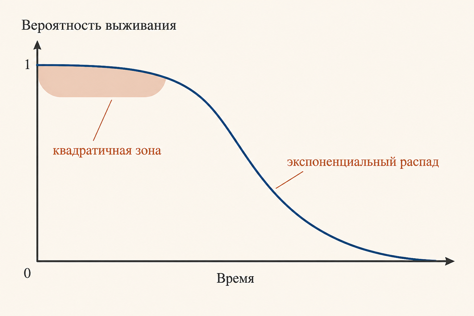 Вероятность выживания состояния в зависимости от времени: квадратичная зона у нуля, где работает эффект Зенона, и переход к экспоненциальному распаду