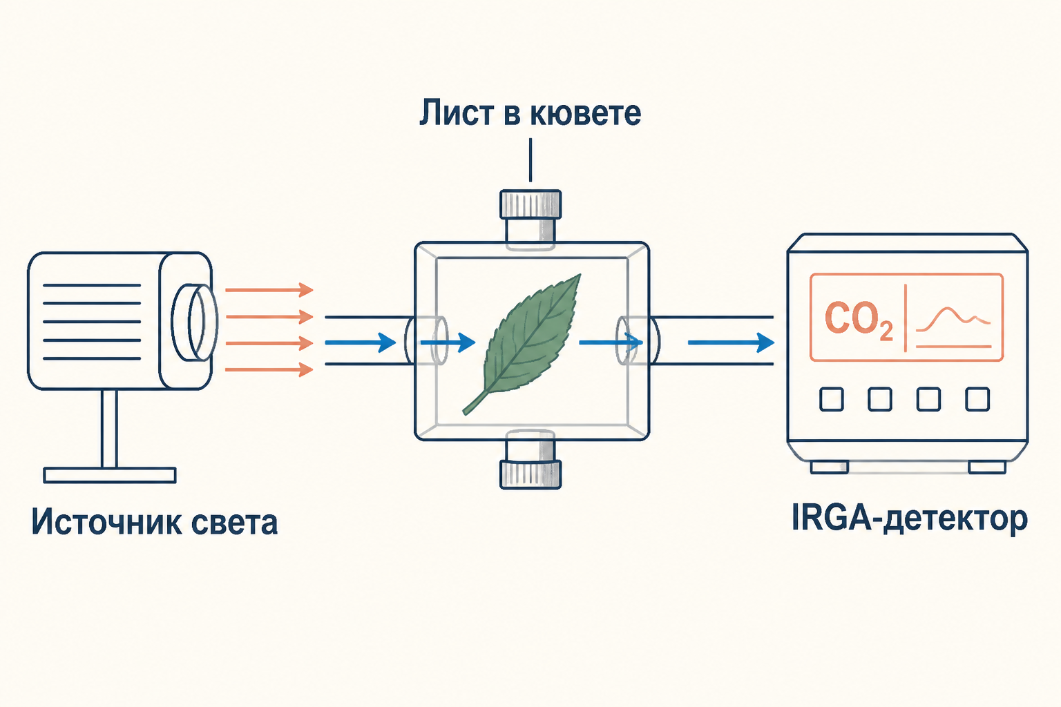 Схема измерения квантового выхода: лист в кювете, источник монохроматического света, IRGA-детектор