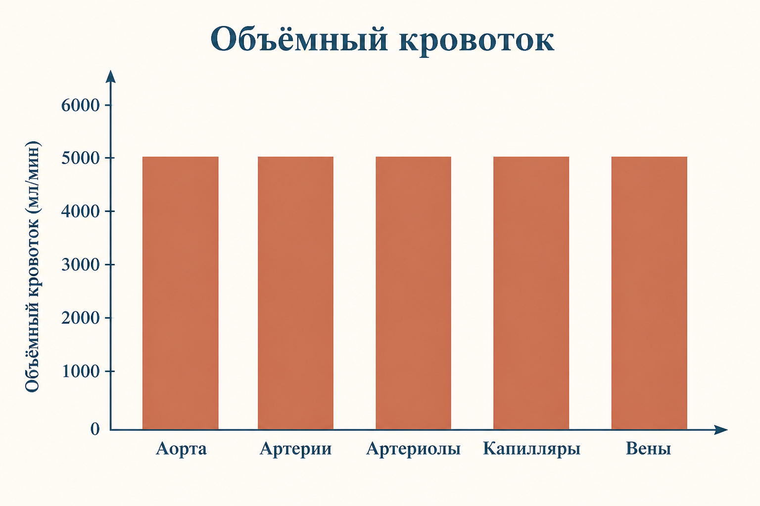 Объёмная скорость кровотока в разных отделах сосудистого русла