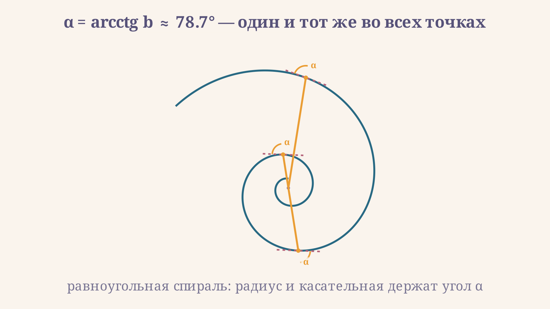 Логарифмическая спираль с радиус-вектором и касательной: угол альфа между ними одинаков в каждой точке кривой