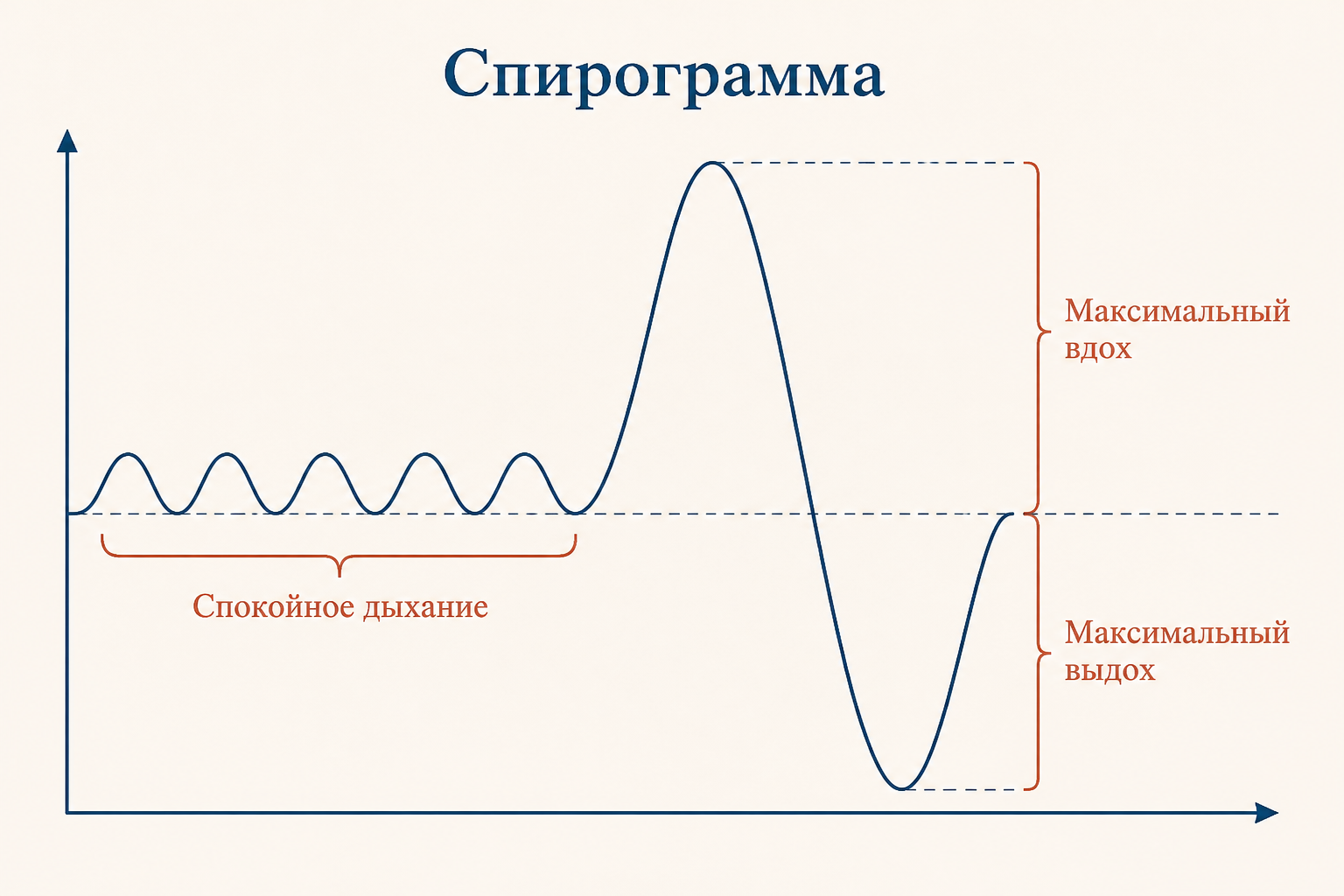 Спирограмма: спокойное дыхание сменяется максимальным вдохом и выдохом, по которым измеряют объёмы