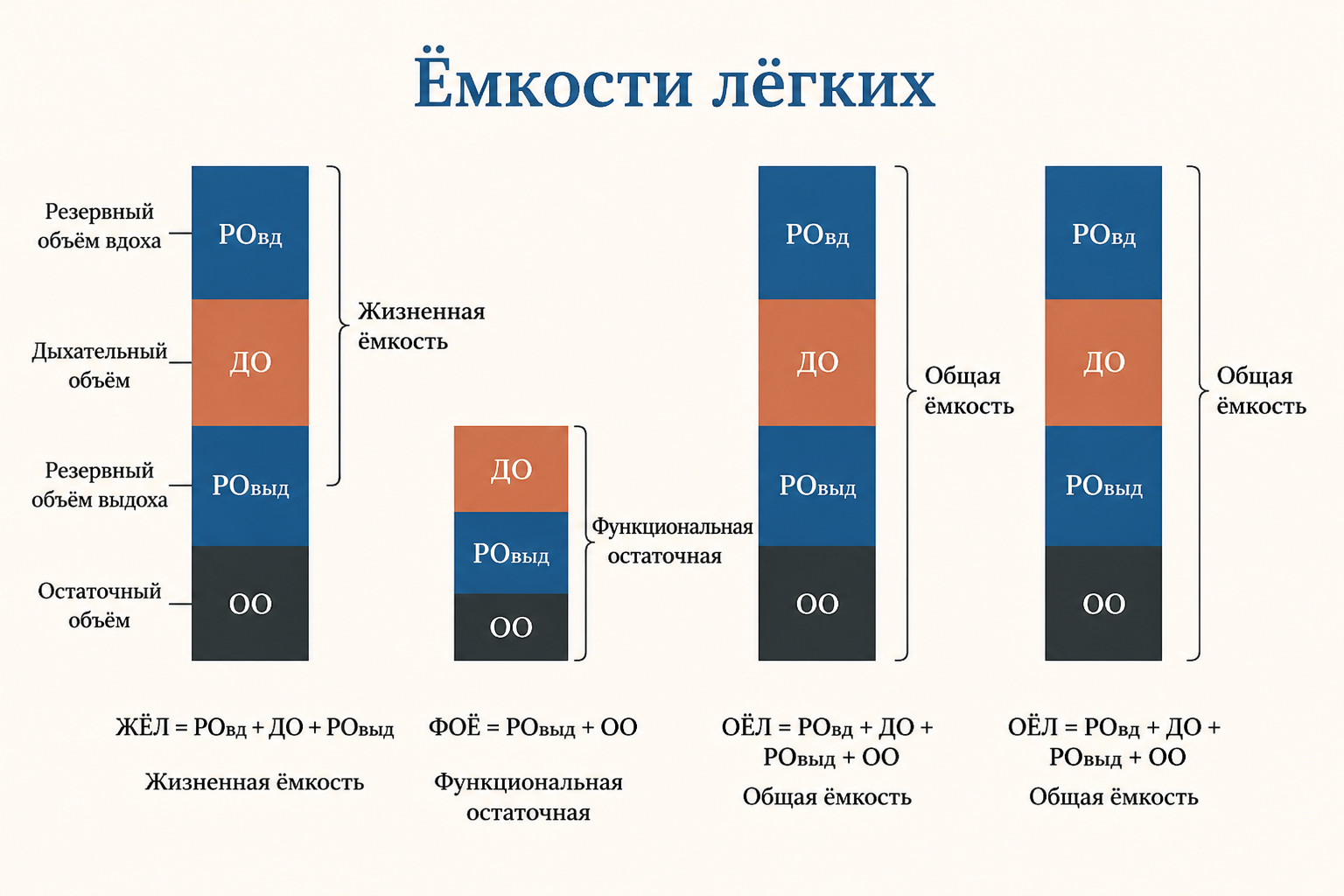 Схема ёмкостей лёгких как сумм базовых объёмов: ЖЁЛ, ФОЕ и общая ёмкость