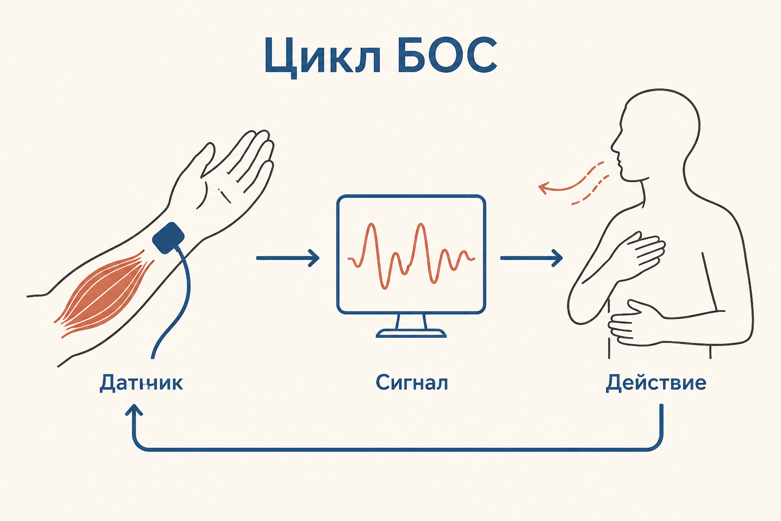 Принцип биологической обратной связи: датчик считывает сигнал тела, программа показывает его человеку, человек меняет действие