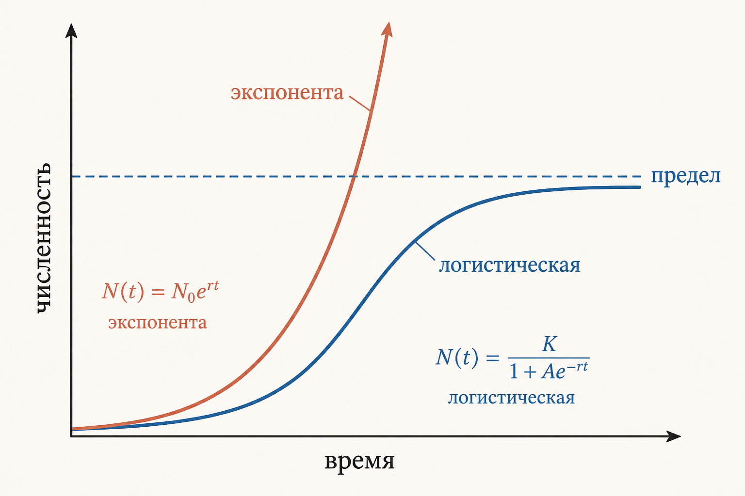 Сравнение J-образной экспоненты Мальтуса и S-образной логистической кривой с пределом K